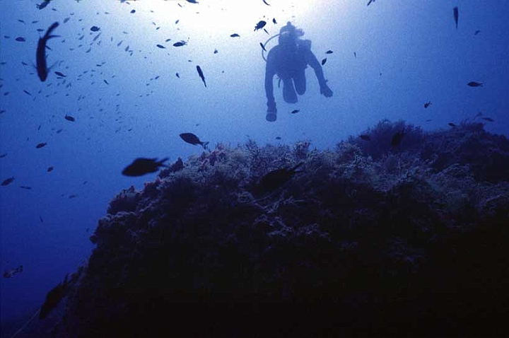 26 luce amb.jpg - Un raggio di luce, penetrando in mare, diminuisce sempre più la sua frequenza...
